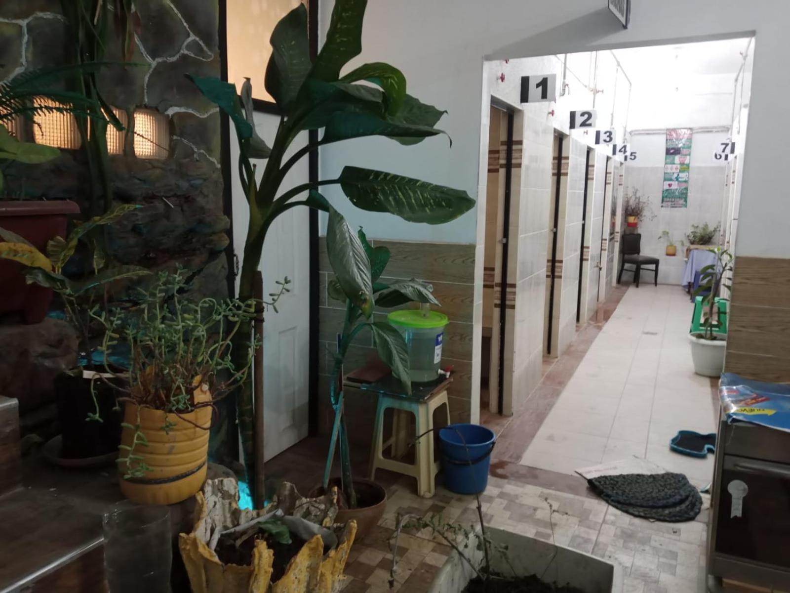 コチャバンバ Casa Qura Quraホステル エクステリア 写真